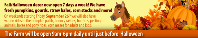 On weekends starting Friday, September 26th we will also have wagon rides to the pumpkin patch, bouncy castles, bonfires, petting animals, horse and pony rides, corn mazes for adults and kids.